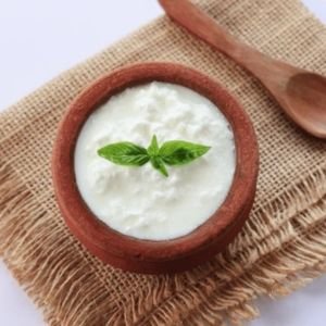 CURD OR DAHI