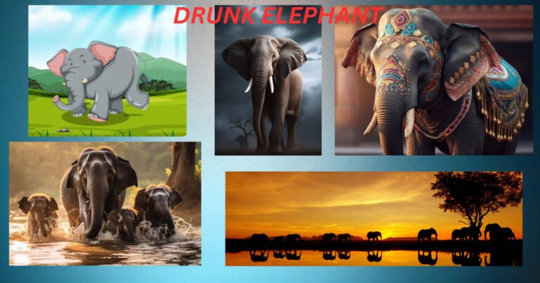 DRUNK ELEPHANT